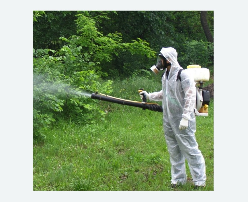 обработка территории от клещей в Бирюсинске