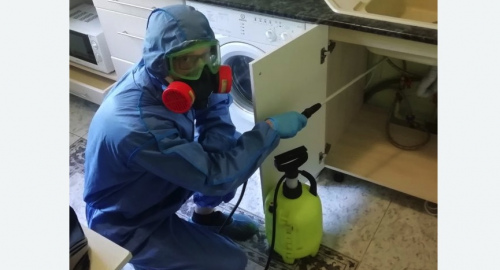 Уничтожение муравьев в квартире. Бирюсинск