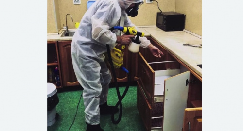 Уничтожение насекомых в квартире. Бирюсинск