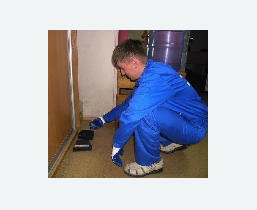 Дератизация крыс в Бирюсинске