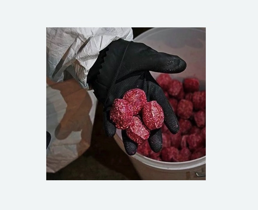 Обработка от крыс в Бирюсинске