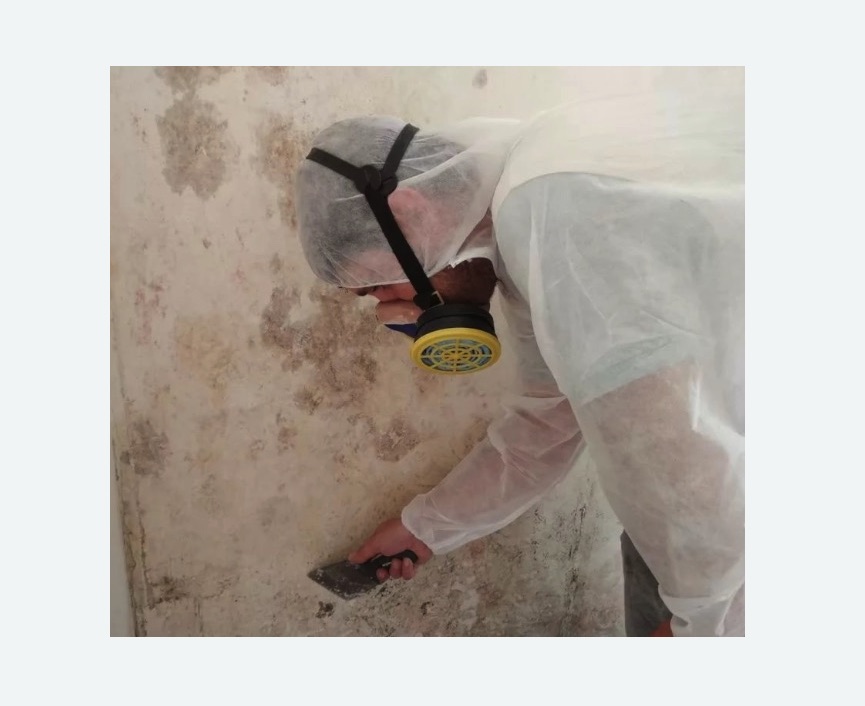 Обработка стен от плесени в Бирюсинске