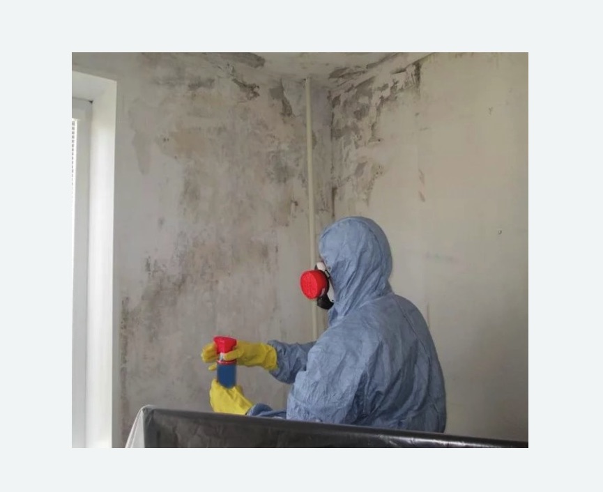 Удаление плесени в квартире в Бирюсинске