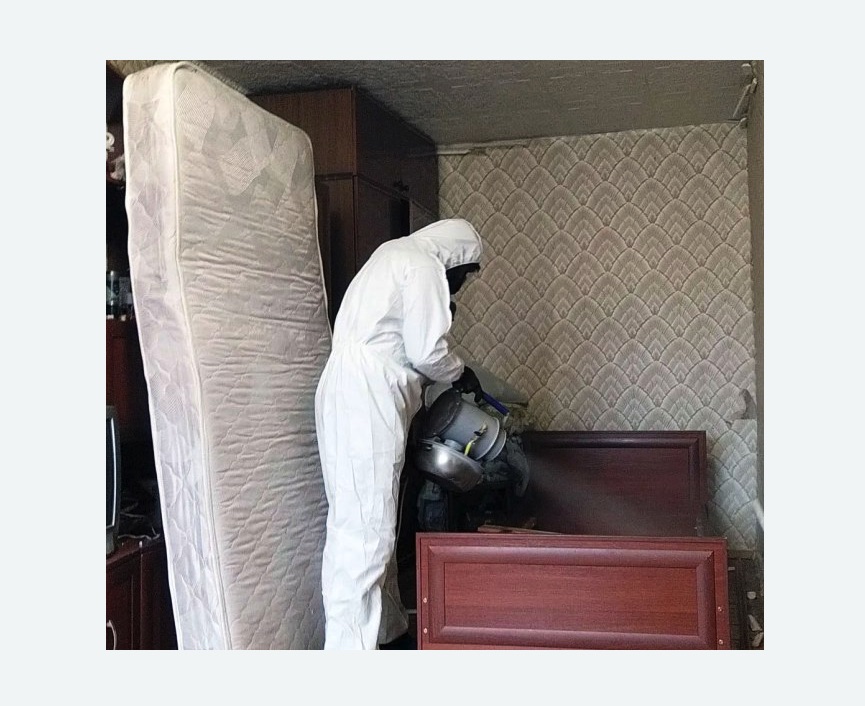 дезинфекция от клопов в Бирюсинске