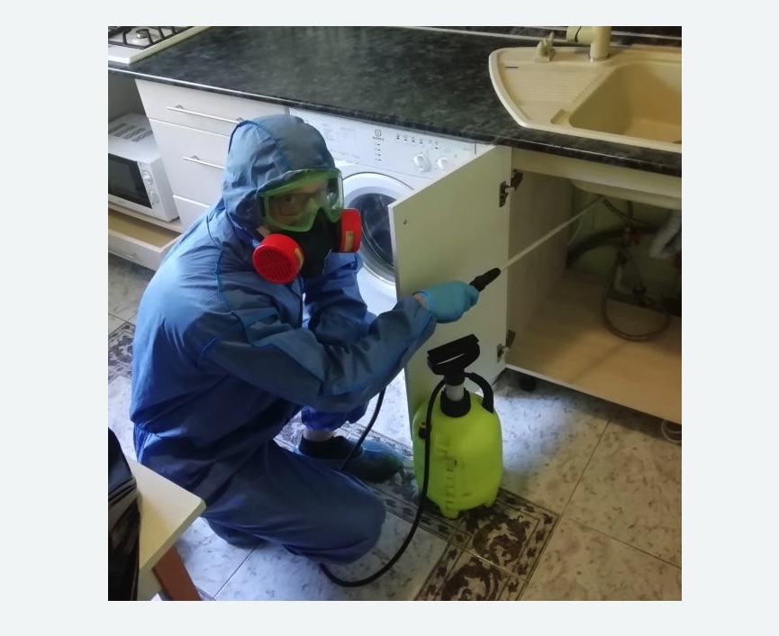 обработка от муравьев в квартире в Бирюсинске