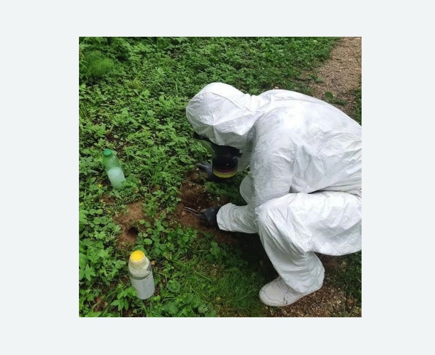 уничтожение кротов на участке в Бирюсинске