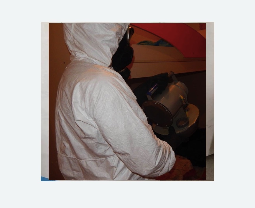 Дезинфекция от муравьев в Бирюсинске