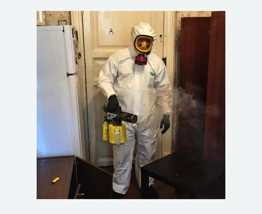 уничтожение муравьев в квартире в Бирюсинске